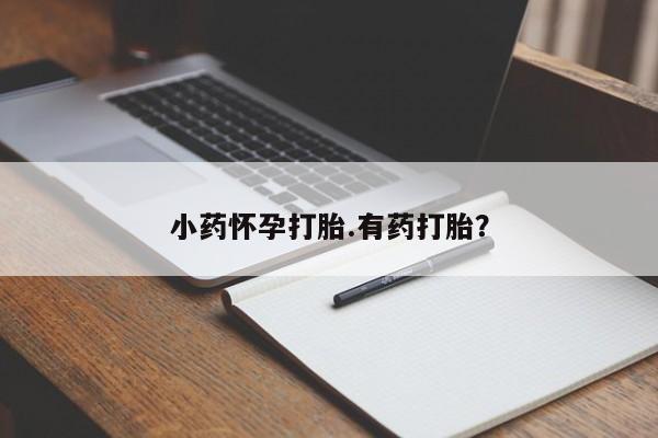 哪里可以私下卖到打胎药小药怀孕打胎.有药打胎？