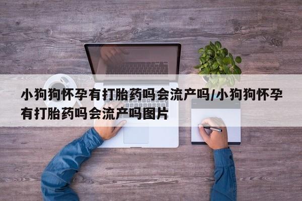 哪里可以私下卖到打胎药小狗狗怀孕有打胎药吗会流产吗/小狗狗怀孕有打胎药吗会流产吗图片