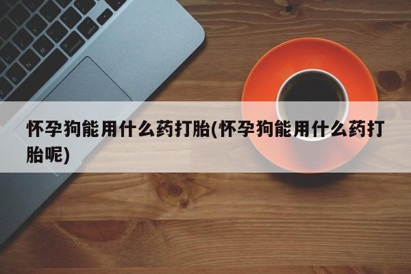 哪里可以私下卖到打胎药怀孕狗能用什么药打胎(怀孕狗能用什么药打胎呢)