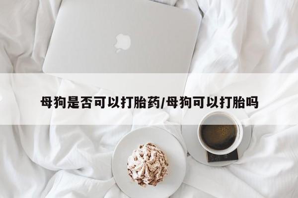 哪里可以私下卖到打胎药母狗是否可以打胎药/母狗可以打胎吗